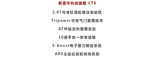 CT6文字.png